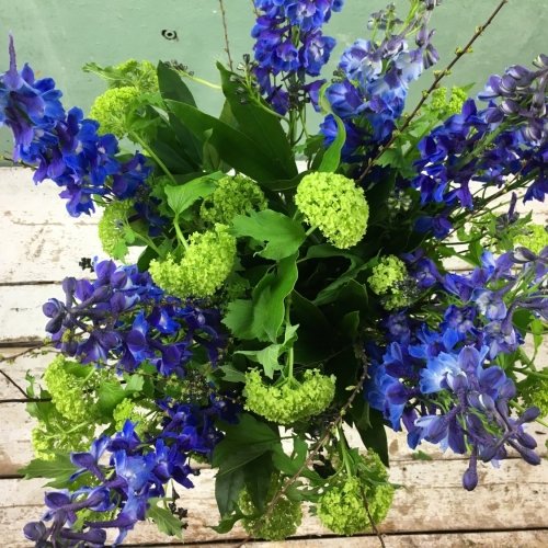 Bouquet de pieds-d'alouette