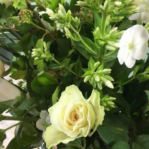 bouquet Blanc avec une touche de rose