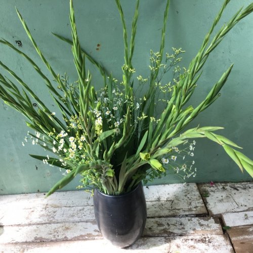 Gladiolenboeket
