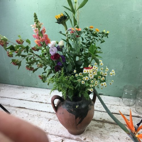 plukboeket