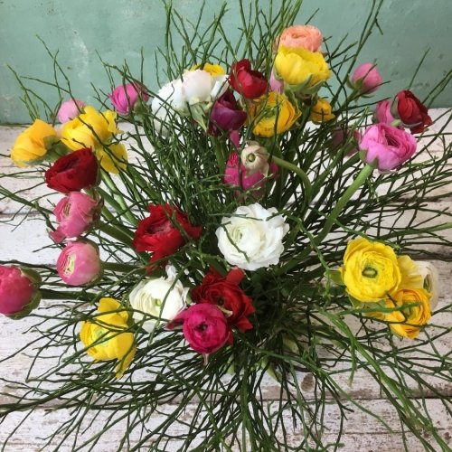 Kleurrijk boeket