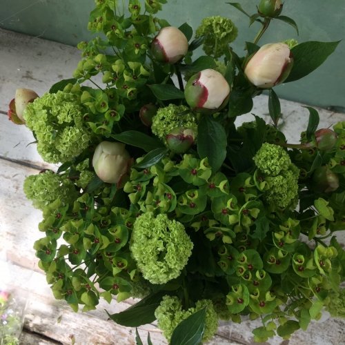 Bouquet de pivoines