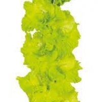 GLAD GREEN STAR GR